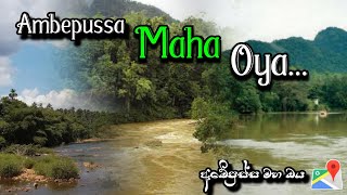 Ambepussa Maha Oya... | අඹේපුස්ස මහ ඔය...