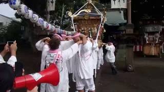 ２０１６茅ヶ崎 今宿 松尾大神例大祭 宮出