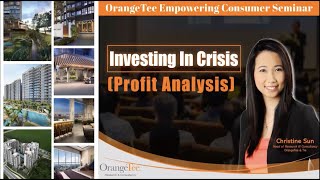Investing in Crisis (Profit Analysis)