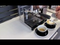 how to make cappuccino with the la pavoni domus bar