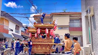 【 平野 だんじり 見に行ったらめちゃ夏の訪れ感じてんけど😂】平野区 加美北東 夏祭り 試験曳き