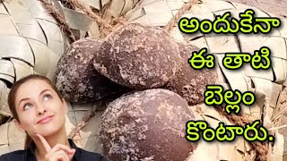 అందుకేనా ఈ తాటి బెల్లం కొంటారు 🤔 | Palm Jaggery | Thati Bellam