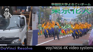 【シネスコ】早稲田大学よさこいチーム 東京花火 第16回湘南よさこい祭り remake ver.