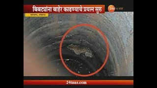 Bhandara | Leopard Fallen In Well In Search Of Water