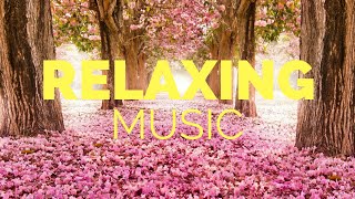 Mozart | Música relajante , Calmar la mente , Aliviar el estres , Healing , Naturaleza