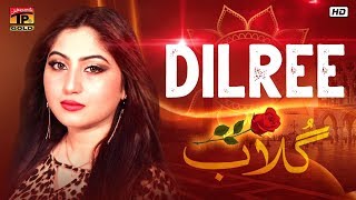 Gulaab by Dilree (Official Video) Latest Punjabi & Saraiki Song 2019 - TP Gold