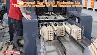 Fully Automatic Egg Tray Machine Installed in Russia | Pulp Molding Equipment