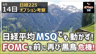 【日経225オプション考察】6/14 日経平均は結局メジャーSQでも動かず！しかし今度はFOMCを前にブラック・スワンが再び飛来！ 来週は要注意か！？