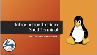Linux Terminal Introduction | Linux Tutorial 2021 | Linux Masterclass