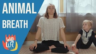 5 ANIMAL Breath Exercises for Kids