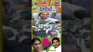 జగన్ తో మాకేంటి సంబంధం..!  తల్లి ఇలా - భావ అలా..! | #yssharmila #vijayamma #ysjagan #ammanews