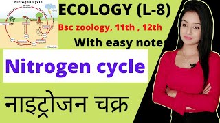 Ecology (L-8), Nitrogen cycle in hindi, lion batch bsc zoology, bsc 3rd year zoology, knowledge adda