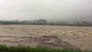 京都 桂川 氾濫 2018年7月6日 京都大雨情報