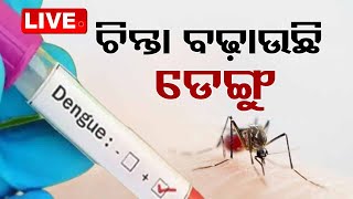 Live | ଚିନ୍ତା ବଢ଼ାଇଲାଣି ଡେଙ୍ଗୁ | Dengue Tension | OTV