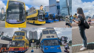 Yellow Duck x Yellow Bus - One Citybus Summerfest 2023