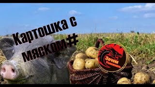 Холостяцкий обед 2#