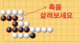 바둑 묘수 사활 - 기가막힌 묘수로 흑을 살려보세요