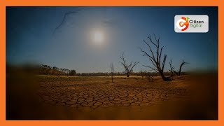 Drought hits schools in parts of Meru County