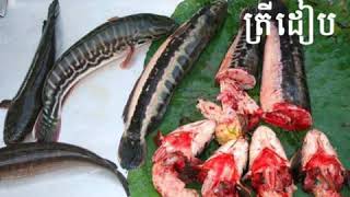 Fish name for river in Cambodia | ឈ្មោះត្រីទឹកសាបនៅកម្ពុជា