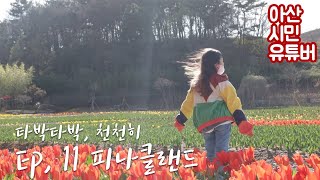 타박타박 천천히. Ep,11 피나클랜드