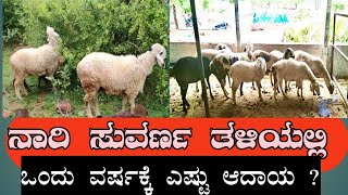 ನಾರಿ ಸುವರ್ಣ ಕುರಿ ತಳಿ ಬಹಳ ಲಾಭದಾಯಕ // sheep farming Naari Suvarna Fore Sale //