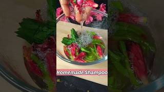 🌎World's Best Natural Shampoo For Hair Growth | Diy Hibiscus Shampoo at home #shorts #shampoo