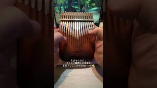 カリンバ楽譜ってなに？なにもわからない男がとりあえず練習してます😊#kalimba #fyp #music #カリンバ #癒し #おすすめ #おすすめにのりたい