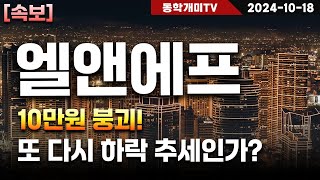 엘앤에프-10만원 붕괴! 또 다시 하락 추세인가?