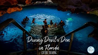Diving Devil's Den in Florida A Contrasting Underworld of Light and Dark