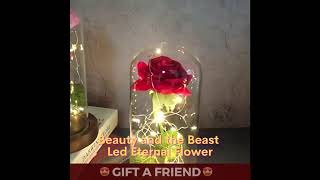 Beauty and the Beast Led Eternal Flower | Happyy Way