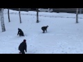 中の町青年会2017年・雪まつり おまけ3