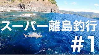 スーパー離島釣行＃１、大型尾長グレを求めて口永良部島まで来ました。