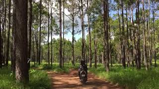 @Riding a motorcycle in the forest. Motorcycles Trip(ជិះម៉ូតូលើខ្នងភ្នំគីរីរម្យកម្សាន្តលេង)