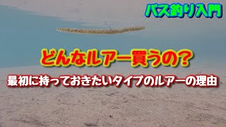 【何買ったらいいの？】バス釣りにエントリーする方にオススメする　ルアーのタイプとその理由【水の旅＃０】