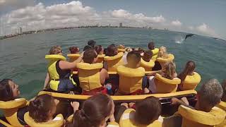 Jet Boat Gold Coast Video