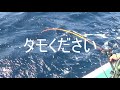 三重県御座港　令和3年）　2021 03 14　特別便　鬼乗り合い　demon scorpion fish　fishing　japann