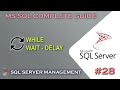 MS SQL | While and Wait - Delay #28