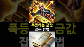 [금 Gold 3편] 폭등하는 금값과 인플레이션을 때려잡기