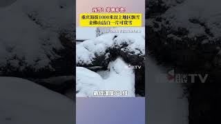 预警！寒潮来袭！重庆海拔1000米以上地区飘雪。受寒潮影响，2月6日晚上10点半左右，金佛山景区海拔1600米以上下起了鹅毛大雪。#第1眼TV口说有屏