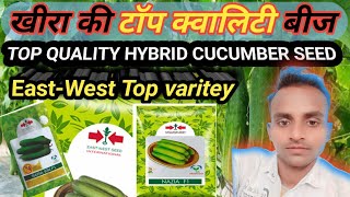 खीरा की खेती कब और कैसे करें ||बेस्ट east west खीरा के हाइब्रिड seeds||Top east west cucumber |