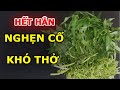 Người Trào Ngược Dạ Dày Mừng Như VỚ ĐƯỢC VÀNG khi biết được Bài Thuốc Trị NGHẸN CỔ, KHÓ THỞ này