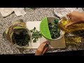 sunny s kale chips