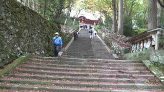 【20201121】島根県出雲市の鰐淵寺の紅葉