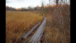 歩行動画　駒止湿原を歩く