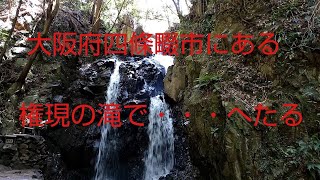 大阪府四條畷市の権現の滝で・・・へたる