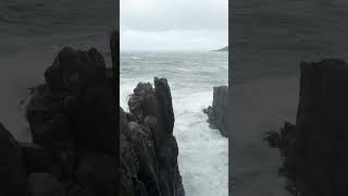 東尋坊の絶壁を冬の日本海の大波が駆け上がる🌊