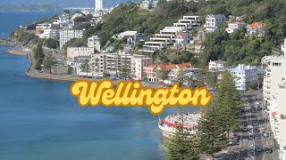 POV Drive Through Wellington's Stunning Great Harbour | Wellington City, New Zealand Journey|4K