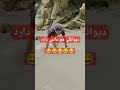 وقتی خودم اینو میبینم از خنده روده بر میشم😂😂😂