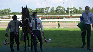 2022 鳴尾記念(GⅢ) 現地 口取り ヴェルトライゼンデ ダミアンレーン騎手 中京競馬場