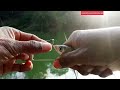 Mancing Ikan Belanak Gacor ‼️Umpan Jitu, Mancing Belanak Teknik Pelampung | Mullets fishing